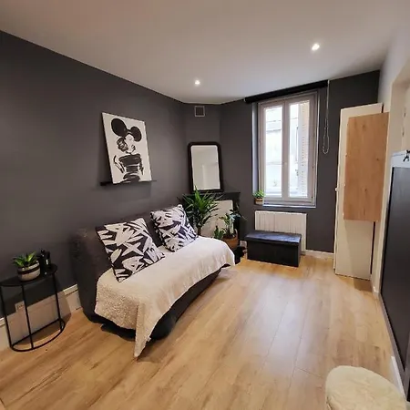 Apartment Joli Et Studio En Rdc Au Calme, Centre St Michel Dijon