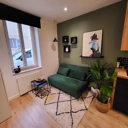 Apartment Joli Et Studio En Rdc Au Calme, Centre St Michel